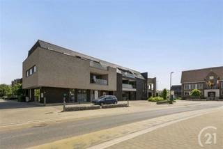 Prachtig appartement in het centrum van Tielt-Winge te huur!Het appartement is gelegen op de tweede verdieping. Hier is een inkomhal met vestiaire,...