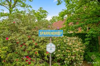 Verscholen op het einde van een doodlopende straat, midden in een uiterst residentiële omgeving, ligt deze tijdloze vrijstaande laagbouwvilla op een prachtig perceel van 22a 49ca. Een plek waar rust, privacy en charme moeiteloos samenkomen.<br /><br />Met een bewoonbare oppervlakte van 206 m² verwelkomt de woning je met een bijzonder logische en warme indeling, ontworpen om comfortabel te leven en volop te genieten van het licht, de ruimte en de sereniteit rondom.<br /><br />De villa beschikt over 3 slaapkamers, waaronder een royale master suite met een open badkamer waar je je als een echte filmster kan voelen. De badkamer straalt een elegante charme uit vervlogen tijden uit en geeft de ruimte een bijna cinematografische sfeer. Voor de andere slaapkamers is er een aparte douchekamer voorzien.<br /><br />De woning ademt mogelijkheden en potentieel. Tijdens een bezoek voel je meteen de unieke sfeer en ontdek je hoeveel opportuniteiten hier verborgen liggen. Bovendien is de renovatieverplichting van EPC-label E naar label D volgens expert bijzonder eenvoudig aan te pakken met enkel de plaatsing van een nieuwe ketel.<br /><br />Een zeldzame eigendom voor wie droomt van tijdloos wonen, omringd door groen en pure rust.<br />Mis deze kans niet. De kijkdag vindt plaats op zaterdag 23/05 en is enkel op afspraak. Inschrijven kan uitsluitend via www.polares.eu<br />.