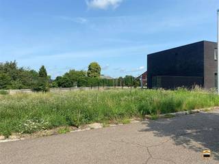 Terrain à vendre à Tongres-Borgloon