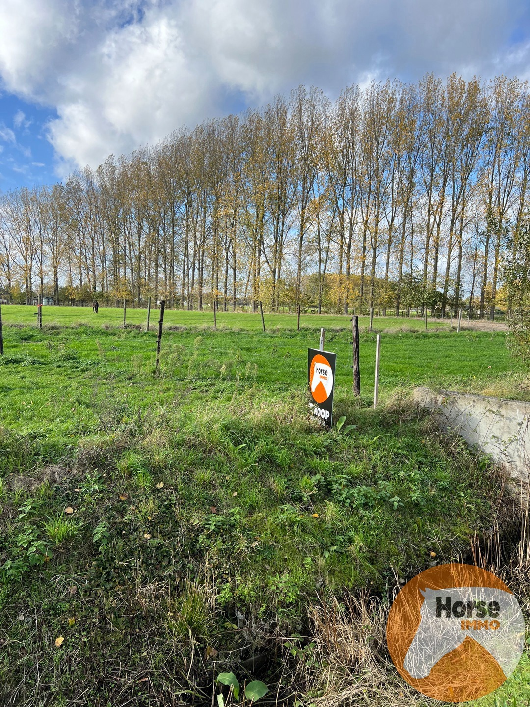 HOFSTADE - Weide op +/-1,3HA - foto 1