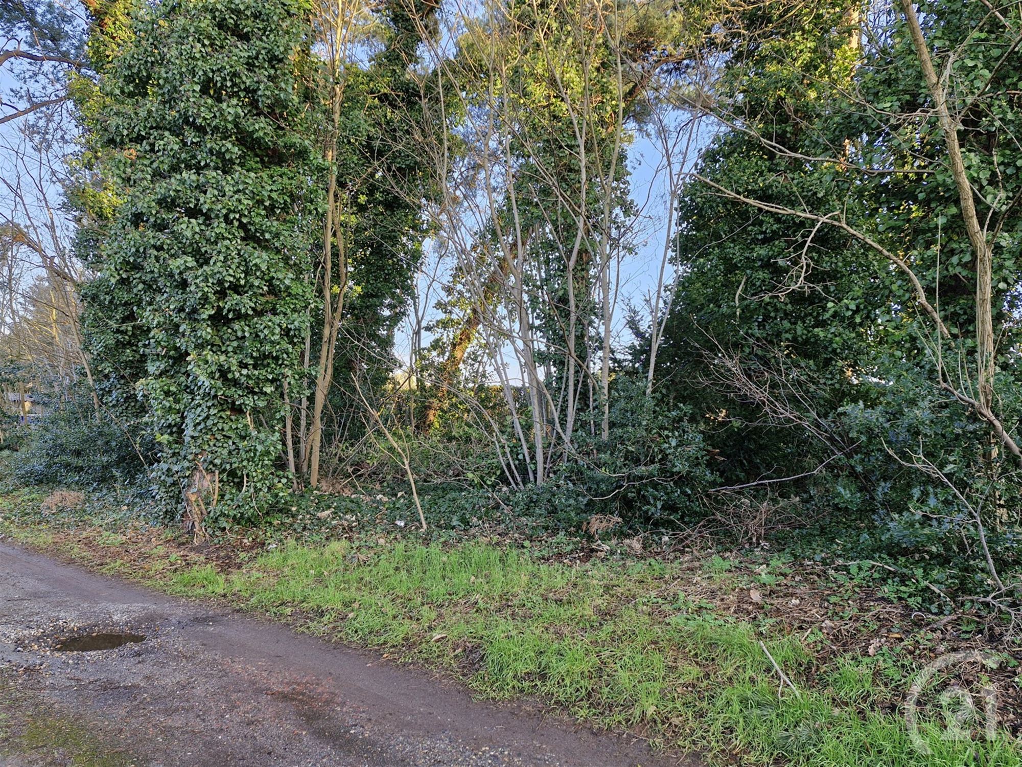 Nieuw te bouwen woning te koop in Tremelo! - foto 4