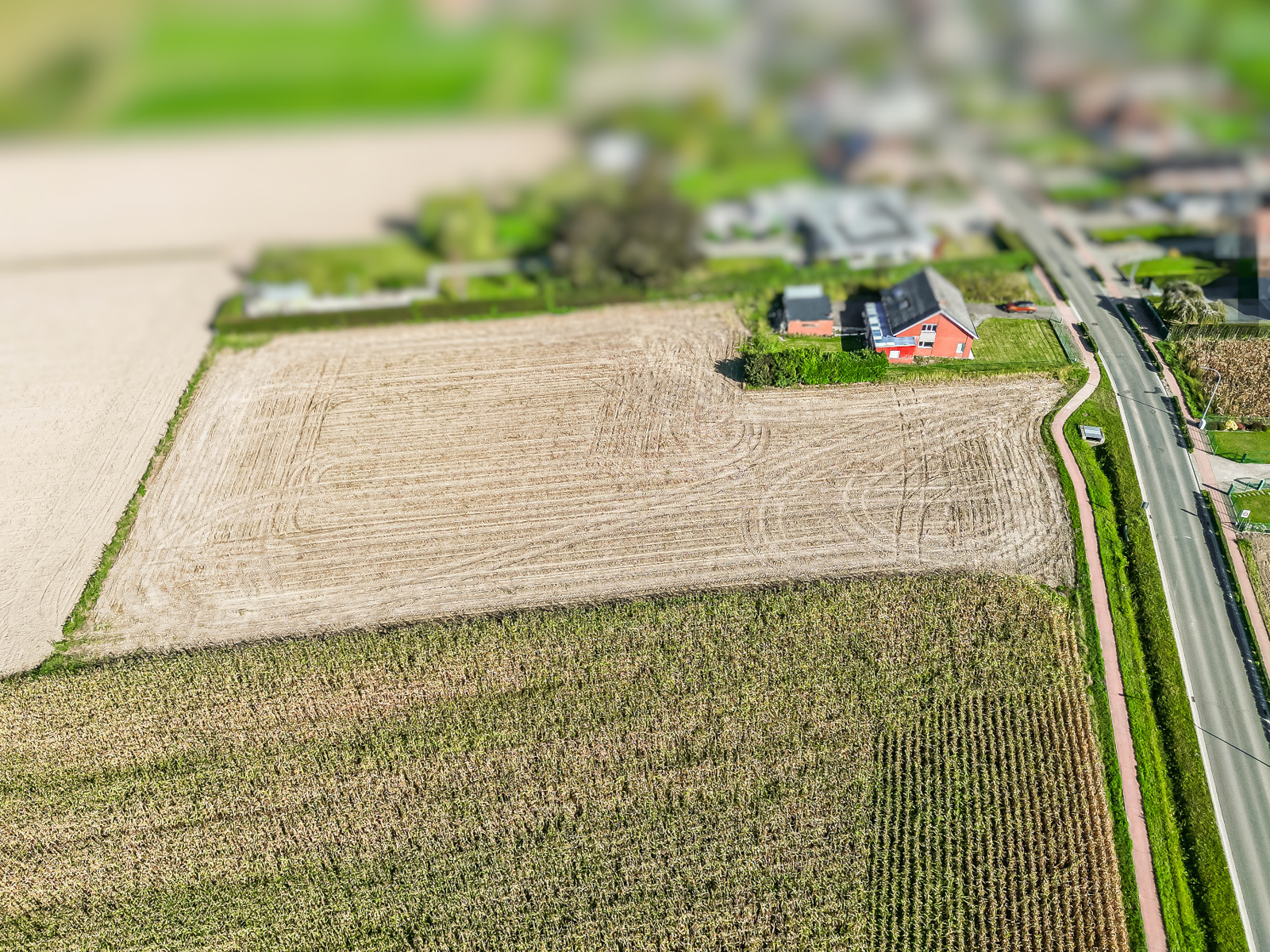 Te renoveren woning op prachtig perceel van 7157 m² te Londerzeel - foto 3