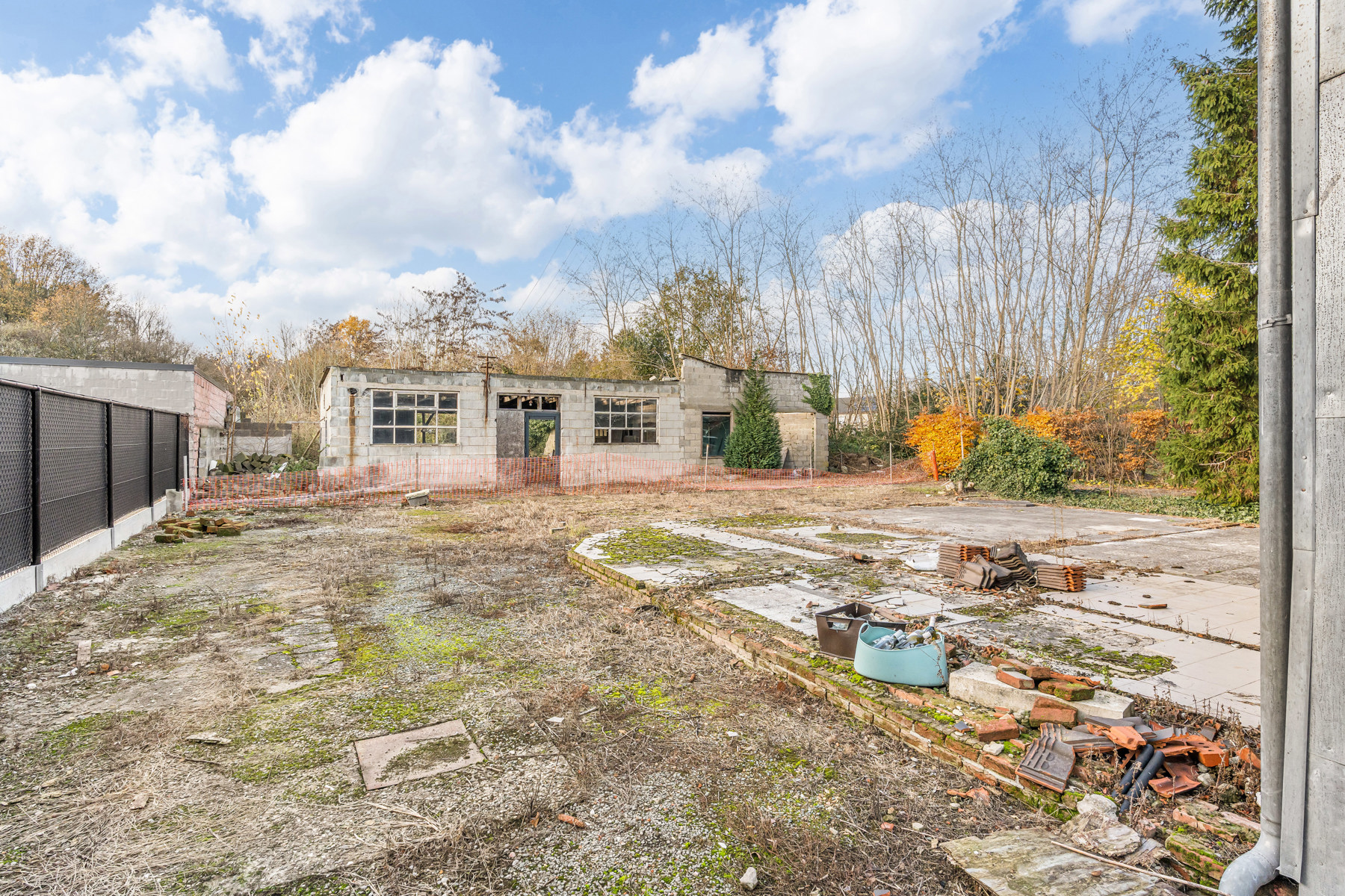 Land for sale in Westerlo - photo 4