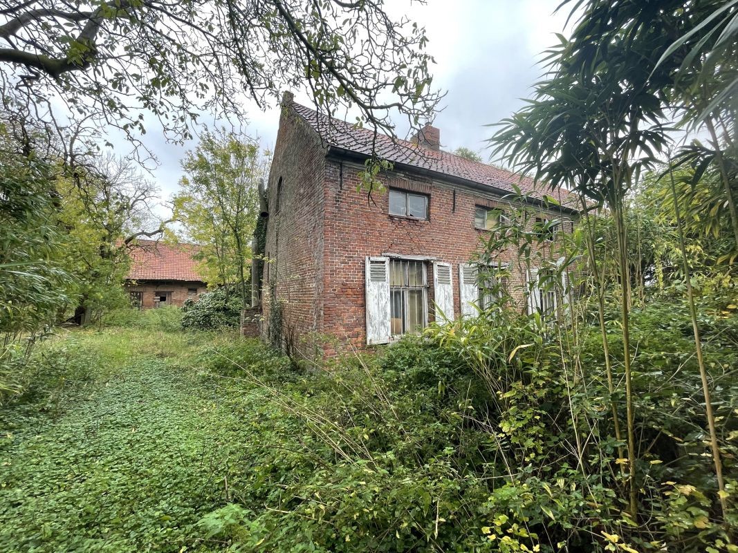 Te verbouwen hoeve met grond te koop te Sint-Niklaas - foto 5