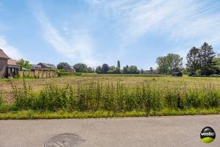Land for sale in Lanaken