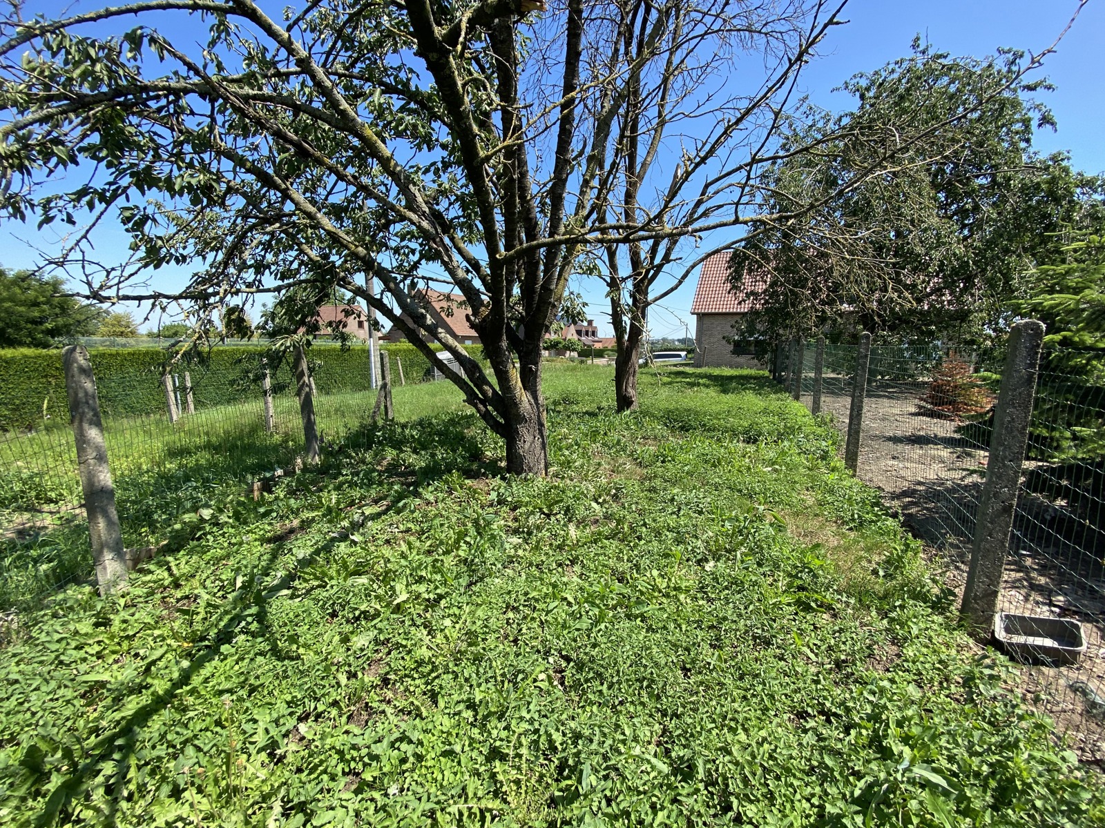 Terrain à vendre à Pepingen - photo 2