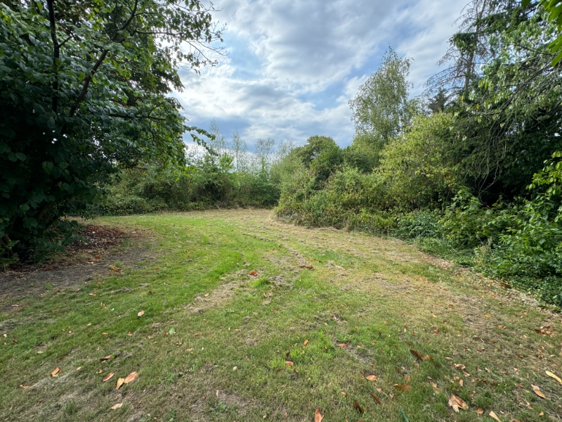 Ruime langgevelhoeve op 29a13 met veel potentieel! - foto 5