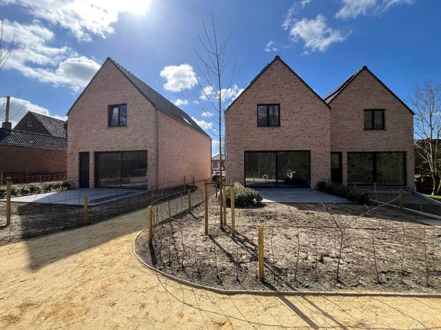 Project te koop in Dikkelvenne