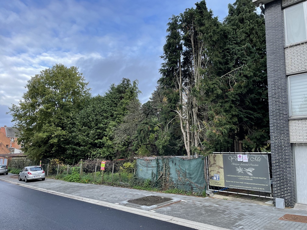 Land for sale in Aarschot - photo 4