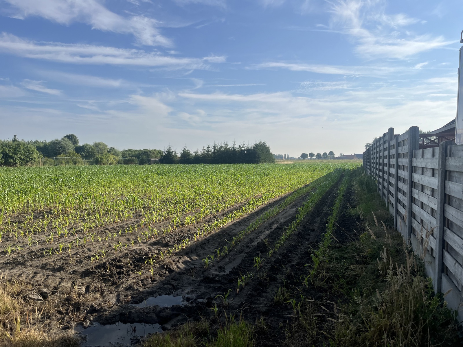 Grond te koop in Koekelare - foto 2