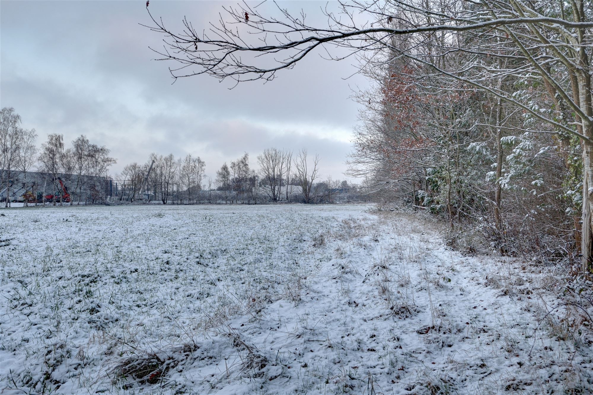 Idyllische paardenweide / bosgrond in Bonheiden - foto 2