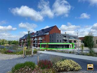 Jouw handelszaak binnenkort in een bruisende nieuwe wijk in Borgloon? Residentie Siroop nadert zijn finale vorm en er zijn nog enkele...