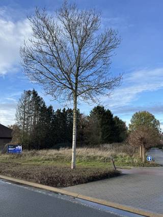 Bent u op zoek naar een ruim perceel bouwgrond op een uitstekende locatie?Ontdek dit prachtig gelegen perceel van ca. 1.555 m² in het hart van...