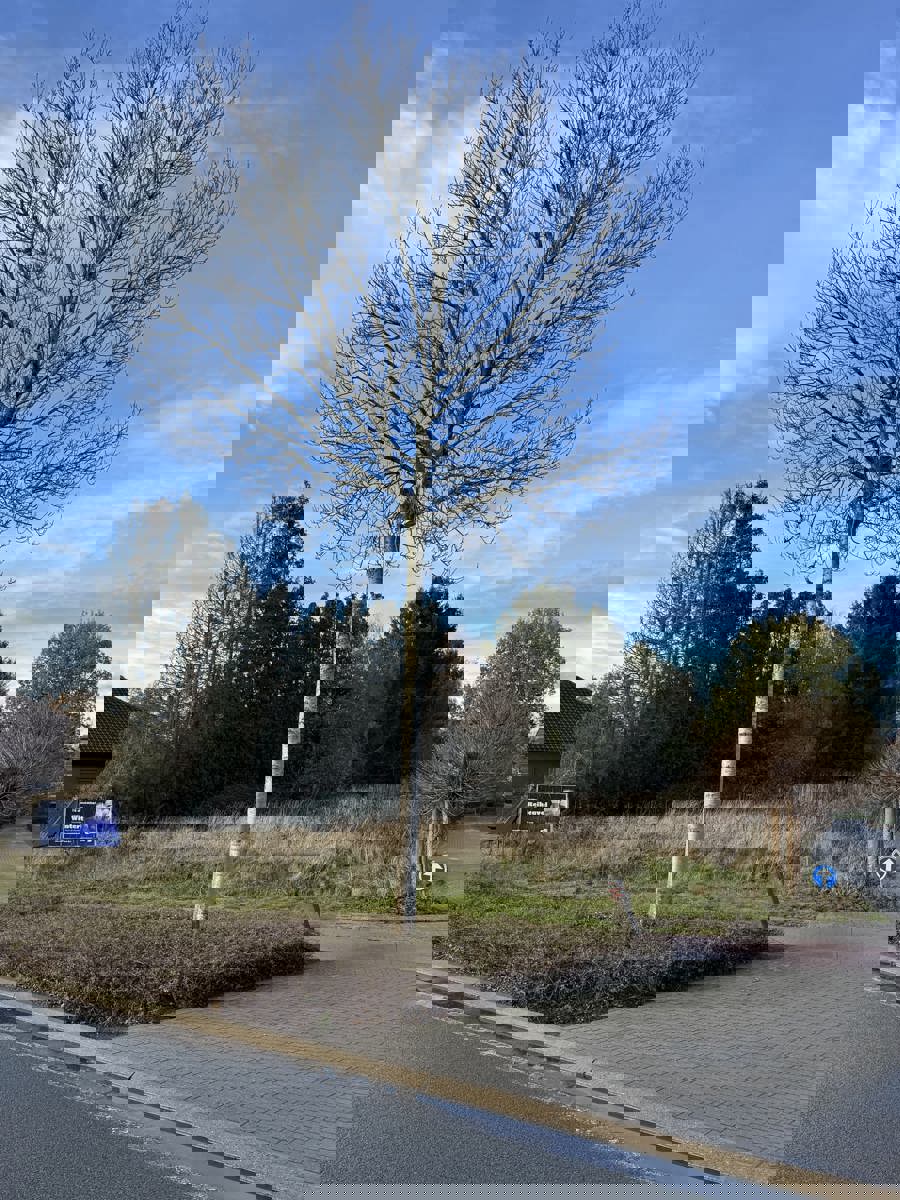 Mooi groot bouwperceel, ca. 1555 m², gelegen naast WZC Nethehof - foto 1