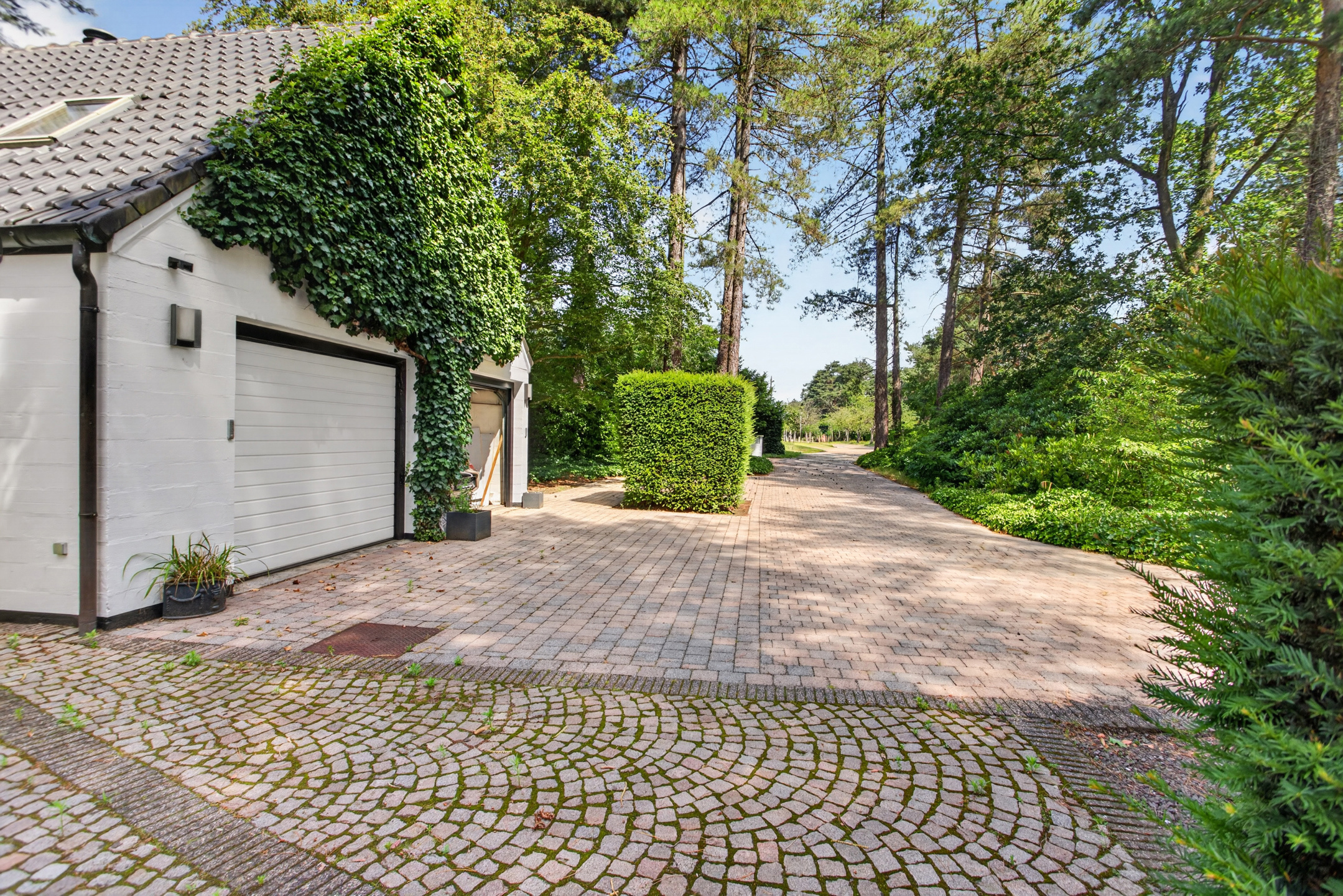 Maison à vendre à Vosselaar avec 5 chambres - photo 5