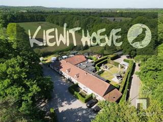 Commercial à vendre à Tessenderlo-Ham