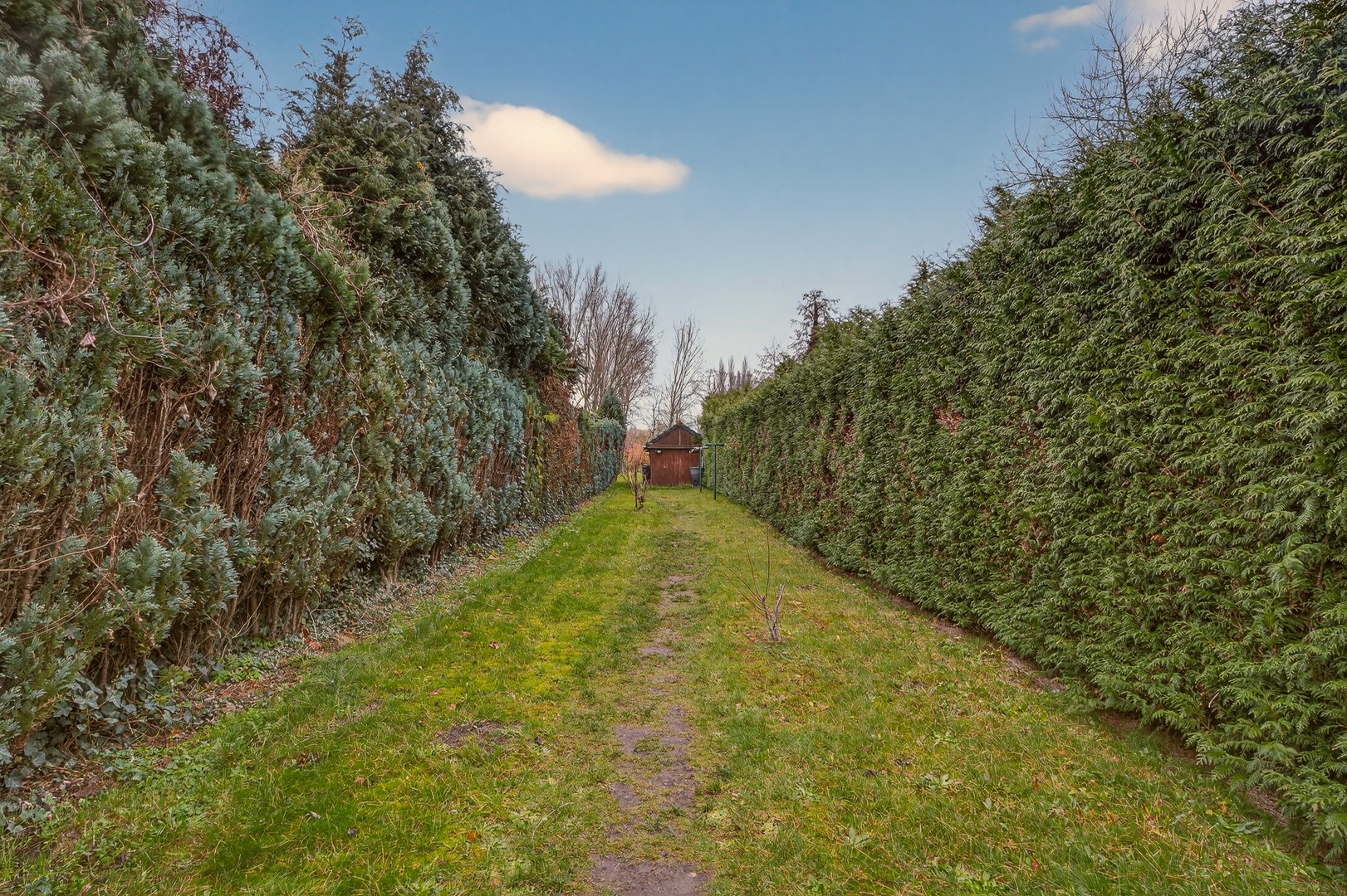 Gezinswoning met tuin - foto 2