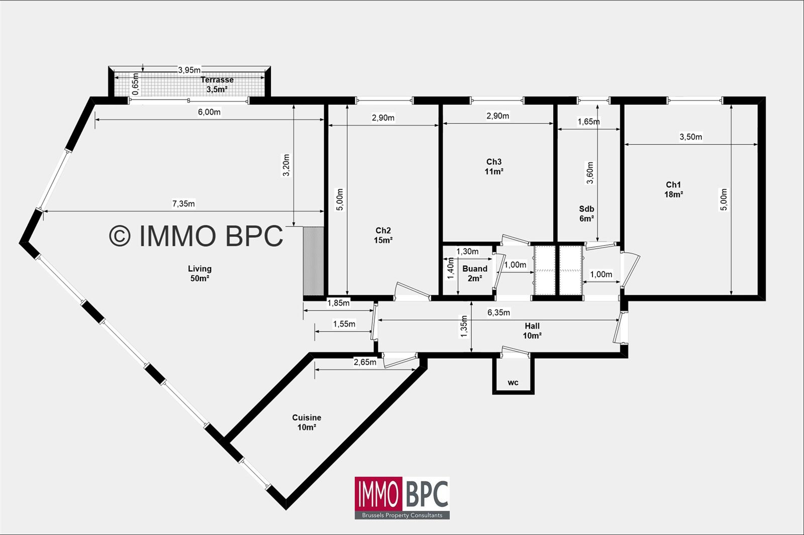 appartement entièrement rénové de 140 m² - photo 4