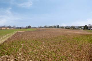 Land for sale in Bierbeek