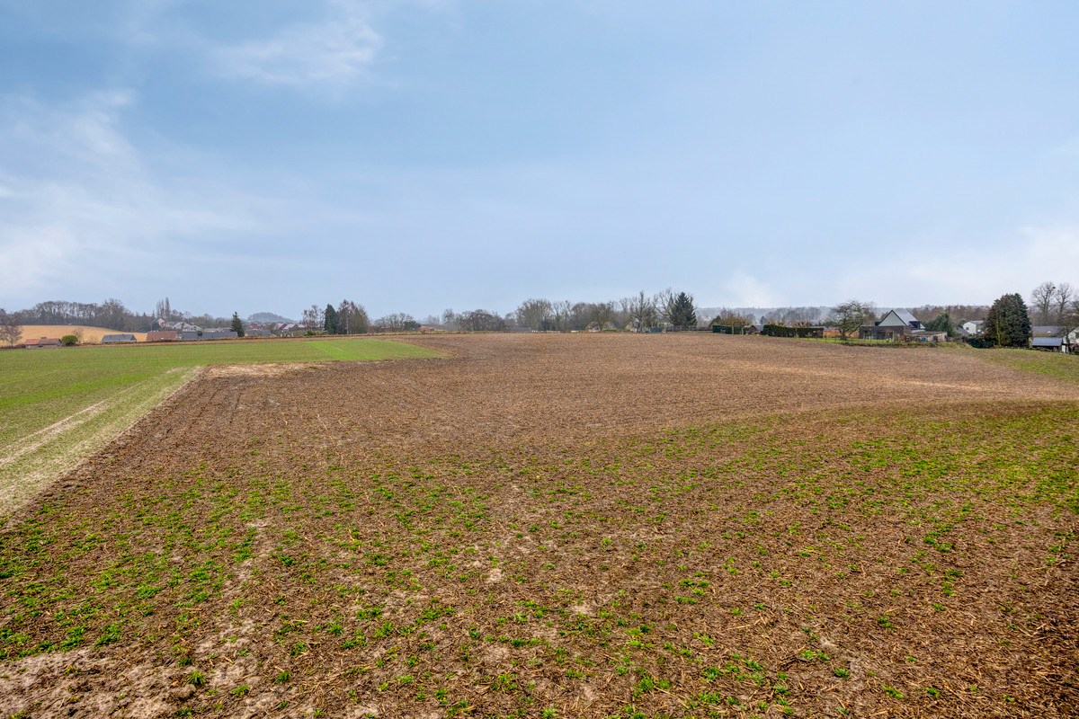 Land for sale in Bierbeek - photo 3