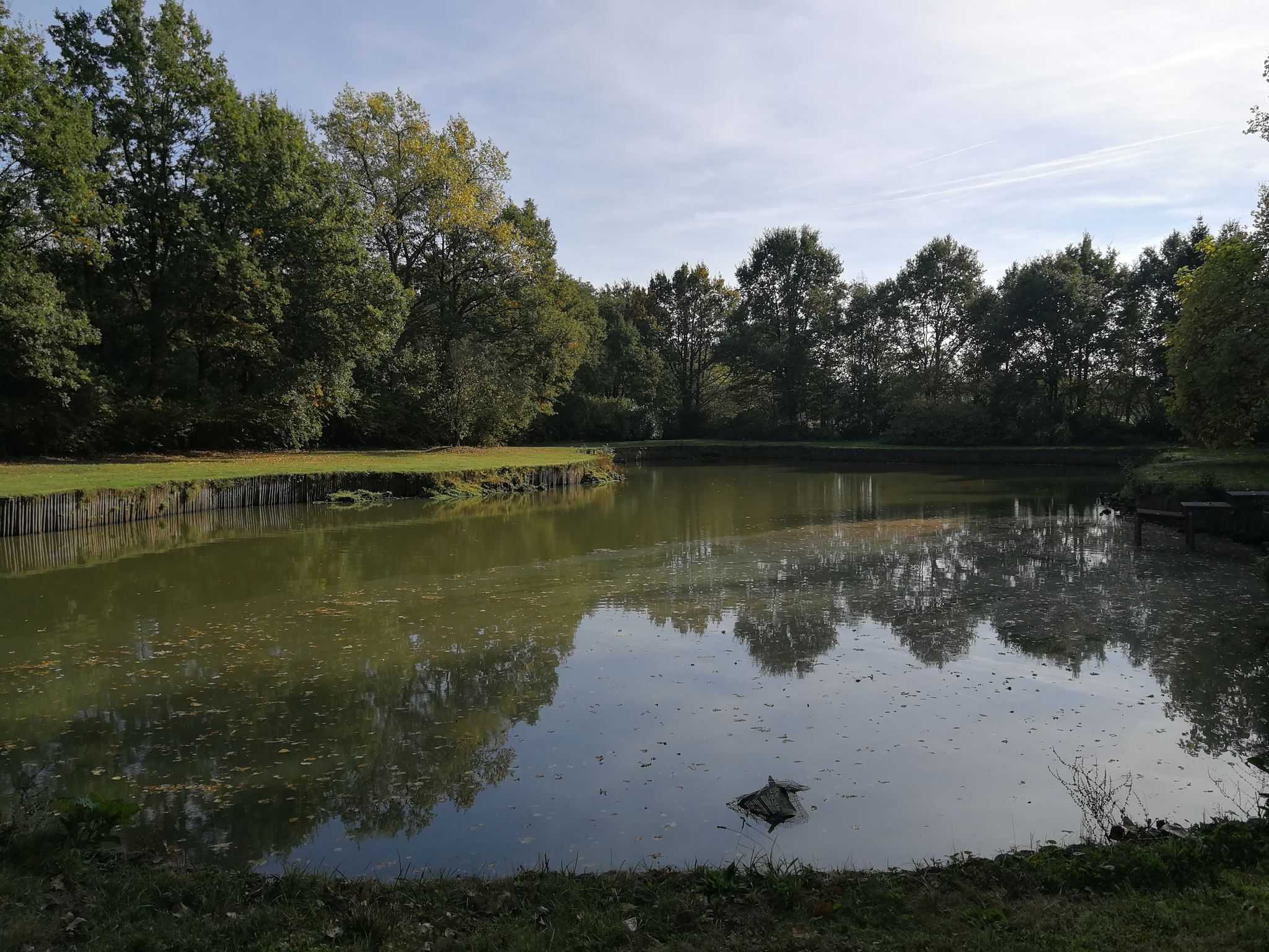 Grond te koop in Veerle - foto 1