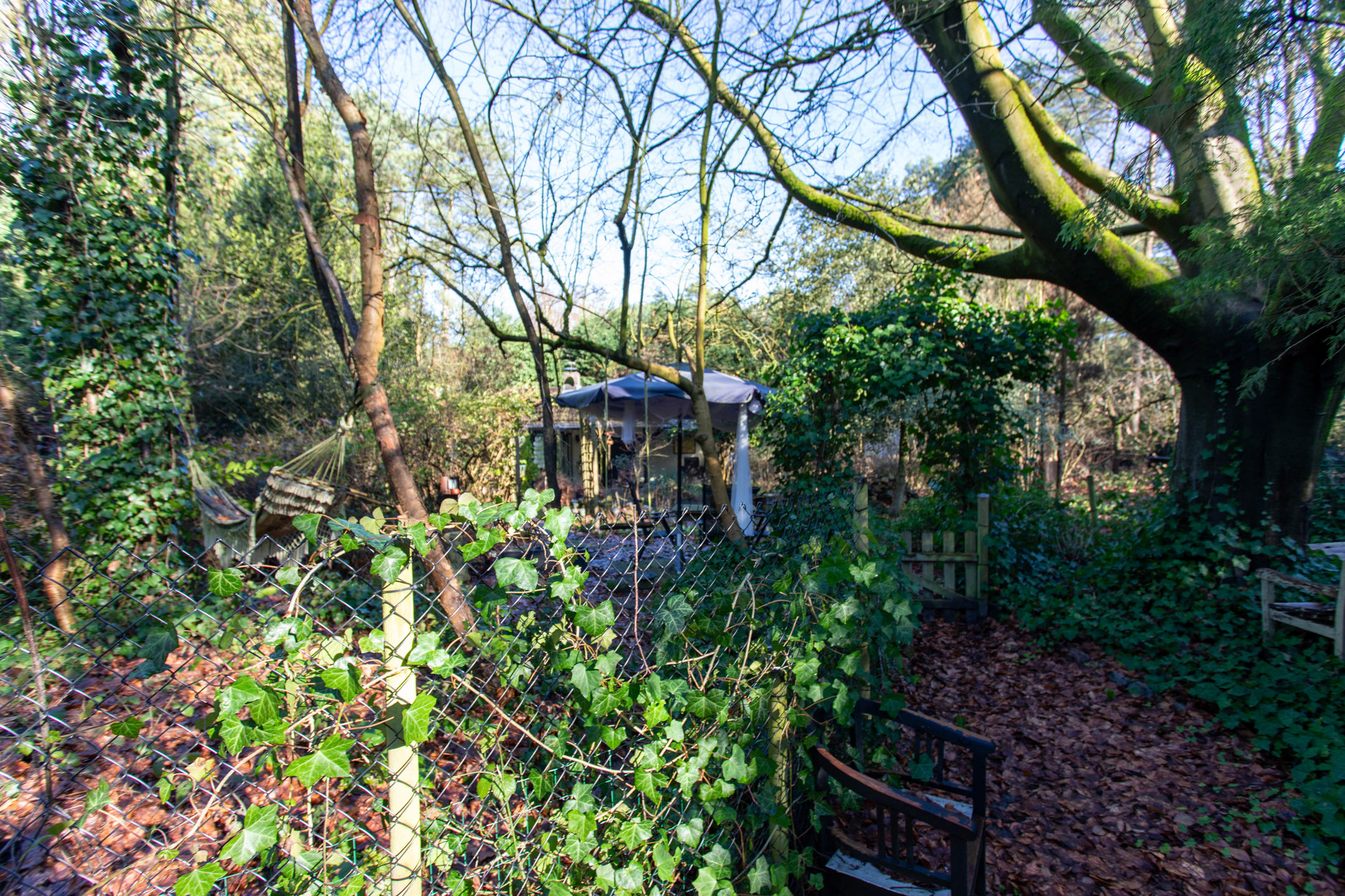 Huis te koop in Essen met 2 slaapkamers - foto 3