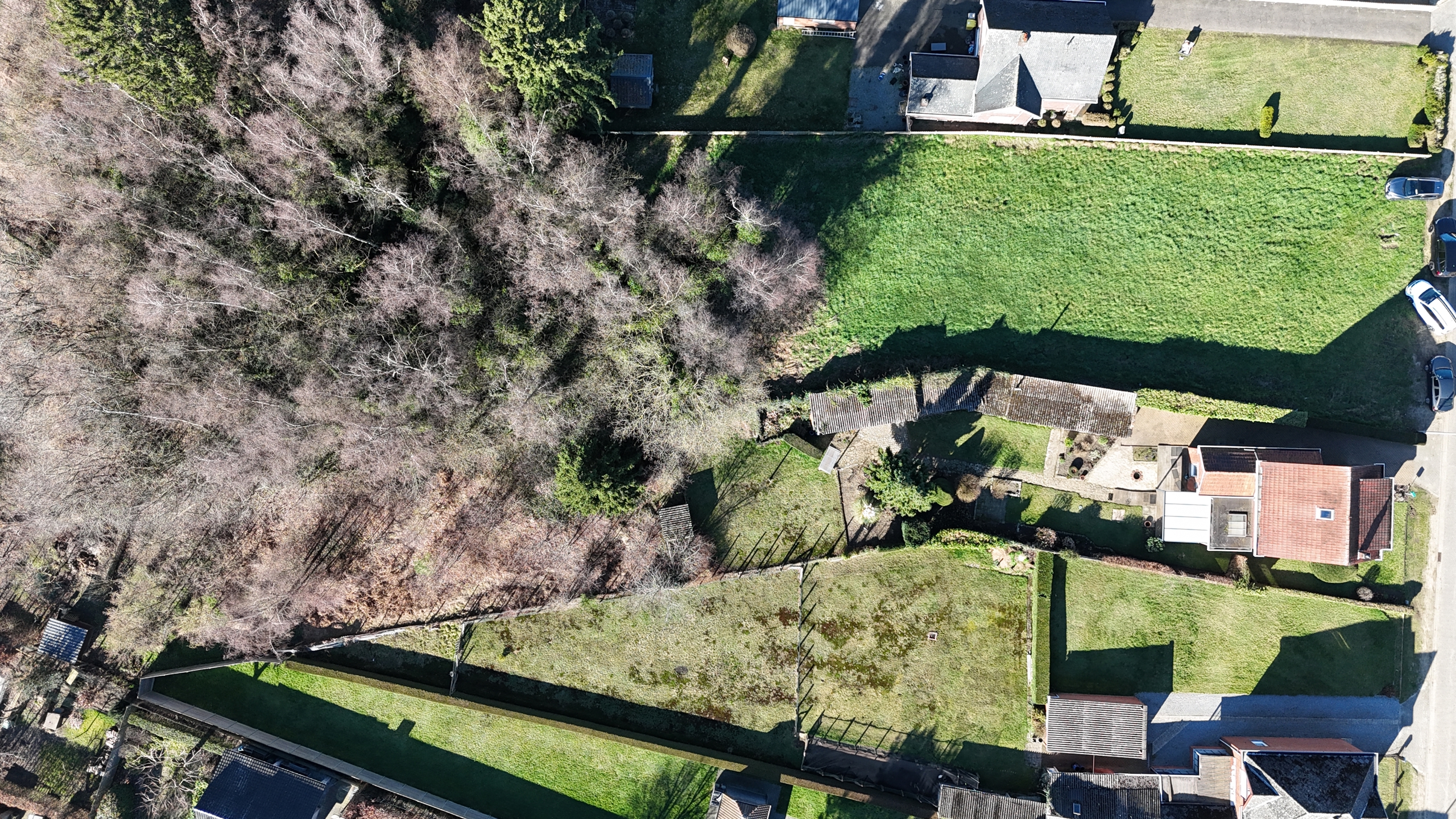 House for sale in Laakdal with 3 bedrooms - photo 3