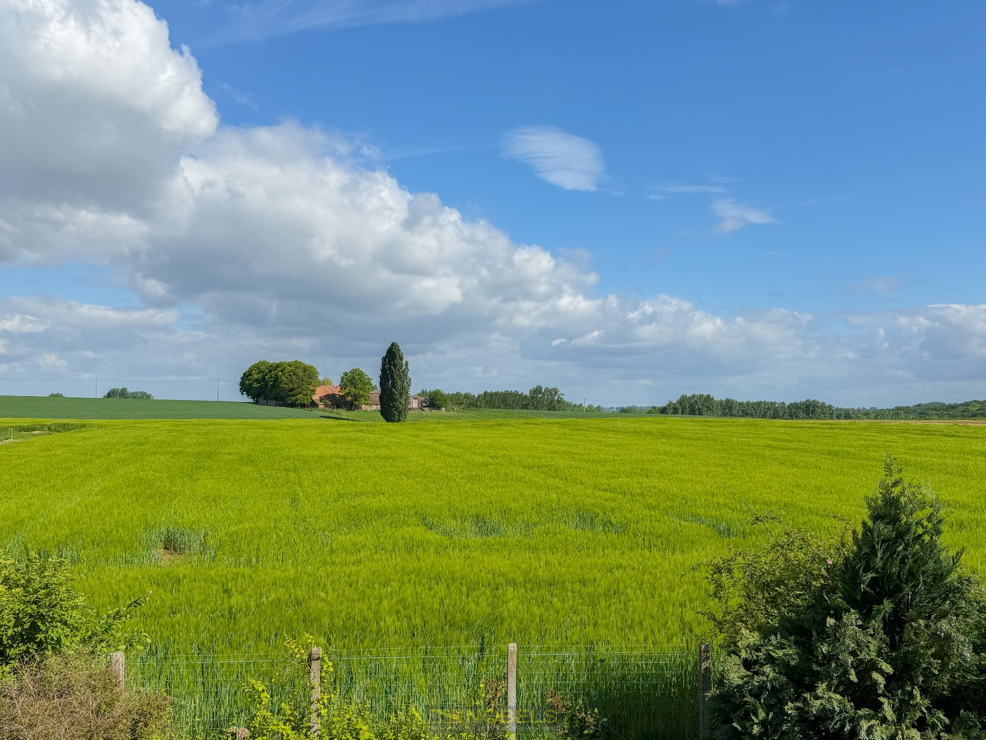 Te koop, Landelijk gelegen open bebouwing met open verzicht te Ellezelles! - photo 3