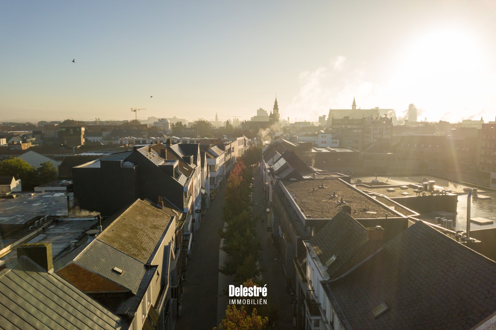 Commercial for sale in Aalst with 5 bedrooms - photo 5