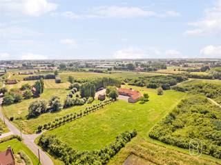 <p>Te koop: unieke hoeve met uitzonderlijk potentieel (combinatie wonen/praktijk, B&B, co-housen, of voor mensen op zoek naar ruimte), midden in het natuurreservaat De Kleiputten, genietend van alle rust & privacy, met prachtige vergezichten. Gelegen in WOONZONE, wat ongelofelijke kansen biedt.</p><p>Deze prachtige eigendom bestaat uit een handige grote parking, en een charmante hoevewoning (hoofdgebouw + bijgebouw)</p><p>Wat maakt dit pand uniek?<br />Het hoofdgebouw heeft meer dan 400 m² bewoonbare oppervlakte, goed voor een indrukwekkend volume en talloze invulmogelijkheden.<br />Met 11 slaapkamers en 8 badkamers biedt deze prachtige eigendom alle ruimte voor grote gezinnen, woonprojecten of ruimtezoekers.</p><p>Binnen vallen meteen de lichtrijke leefruimtes en het open gevoel op. Zowat elke ruimte geniet van zicht op de omliggende natuur. De hoeve beschikt over hoogrendementsglas met houten schrijnwerk, wordt verwarmd met een mazoutinstallatie, en biedt het comfort dat je van een grote landelijke woning mag verwachten.</p><p>Mogelijkheid bijkopen aanpalende bouwgrond 5000m2 + 1,8 hectare</p><p>Voor wie is dit ideaal?<br />Deze eigendom is perfect voor natuurliefhebbers, ondernemers, of grote families die dromen van een unieke woonplek met veel ruimte, rust en uitstekende ontwikkelingsmogelijkheden.</p><p>Te koop via Immo Beguin, jouw vastgoedexpert sinds 2009, met kantoren in Ronse, Waregem, Kortrijk, Deinze, Doornik en Lessines.<br />Meer info of bezoek via flore@immobeguin.be</p>