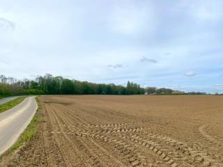 Landbouwgrond met een oppervlakte van circa 3 hectare te BertemHet perceel is gelegen in een rustige en landelijke omgeving en beschikt over een...