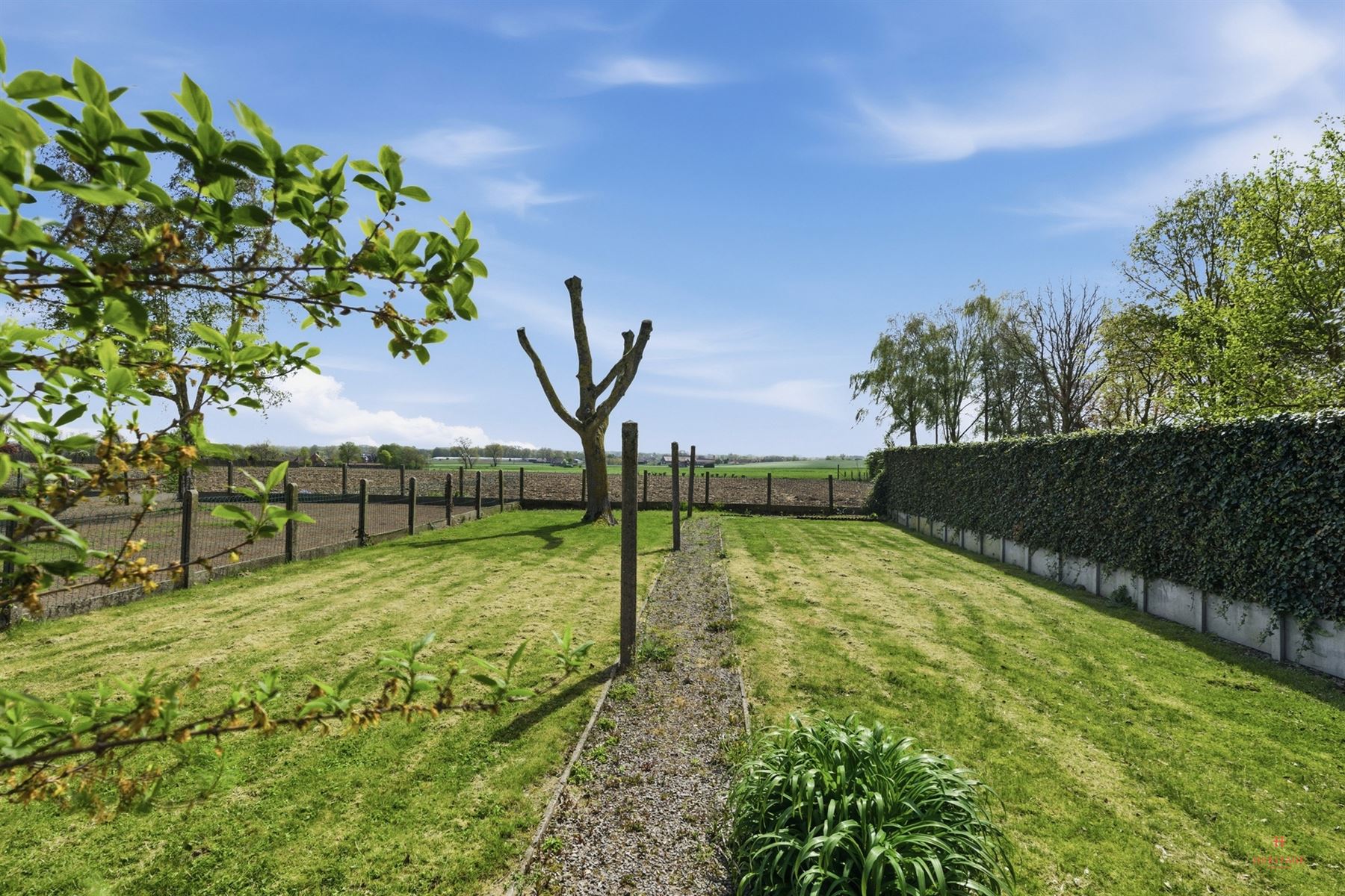 Woning met potentieel én prachtig uitzicht in Aarsele - foto 3