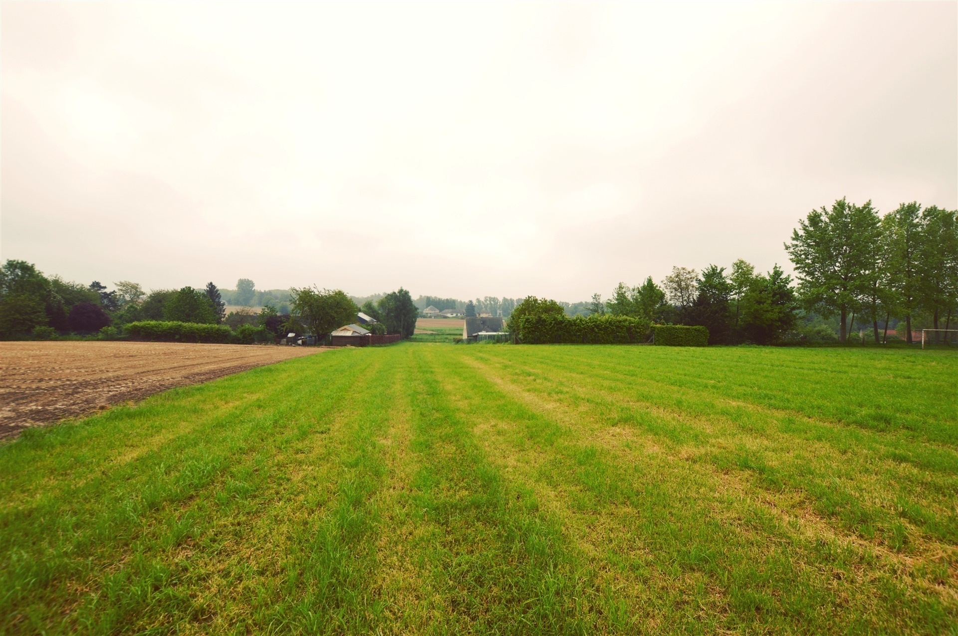 Bouwgrond van 50 are met groenzicht in Bekkerzeel - foto 4
