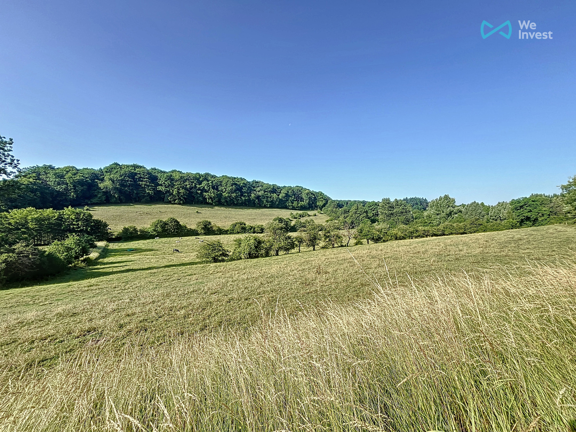 Grond te koop in Lompret - foto 5