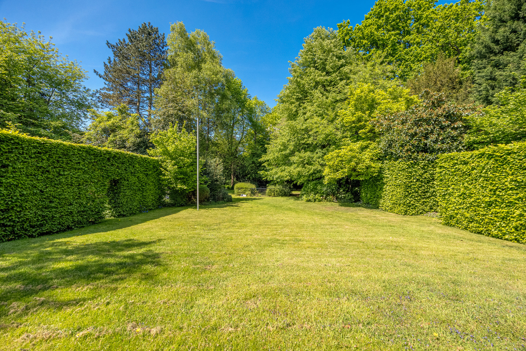 Maison à vendre à Brasschaat avec 5 chambres - photo 2
