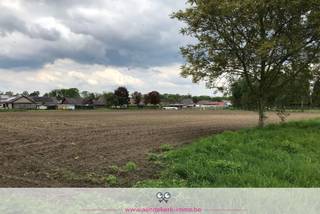 Te koop: een uitgestrekt perceel grond van 1 hectare, 2 are en 91 centiare voor dagrecreatie.Dit perceel ligt in Rotem, een deelgemeente van Dilsen,...