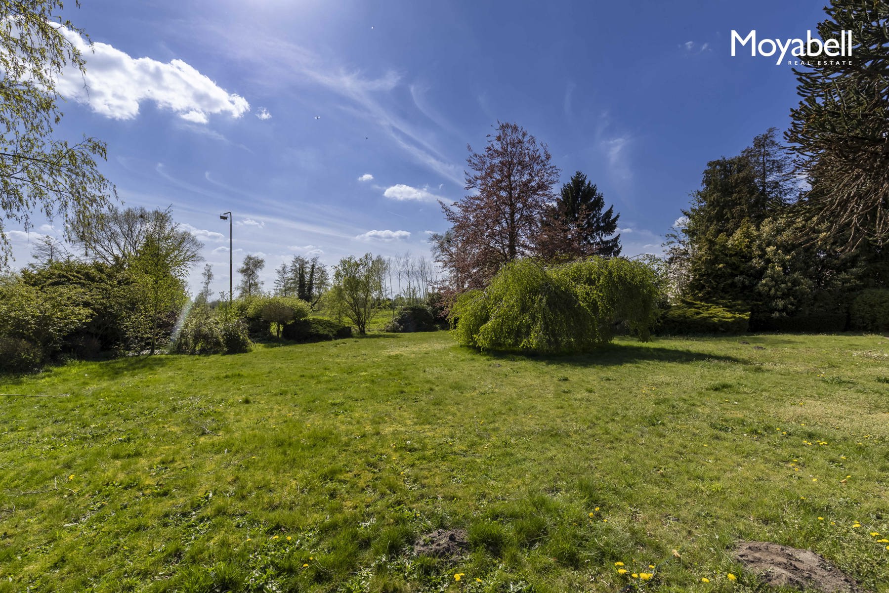 Unieke bouwgrond met verkavelingspotentieel voor 2 open bebouwingen in Ursel - foto 5