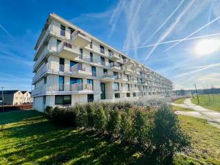 Dit prachtig appartement is zeer goed en rustig gelegen aan het Vianderdomein. Het centrum van Tienen is op wandelafstand bereikbaar met alle benodigdheden (treinstation, school, winkel, bank, ...). Het appartement is gelegen op de eerste verdieping en is bereikbaar met lift. Het omvat: inkomhal, ruime leefruimte met open, volledig geïnstalleerde keuken, 3 slaapkamers, badkamer ensuite met lavabo, inloopdouche en toilet, wasplaats, tweede berging, tweede toilet, terras met open zicht vooraan, ruim terras achteraan, privatieve kelder en een autostaanplaats in de kelderverdieping. CV op aardgas en alle ramen omvatten dubbele beglazing. Gemeenschappelijke kosten bedragen 50 euro per maand. Het appartement is onmiddellijk beschikbaar.
