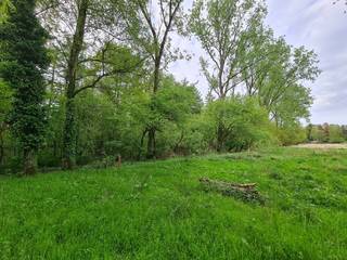 In het groene Eksel op een rustige locatie in Maye Bemden vinden we deze 2 percelen bos van samen +/- 41 are. Het totaal is +/- 200 m lang en 20 m breed en toegankelijk via een weggetje.<br /><br />Watertoets: P-score A en D<br /><br /> 
