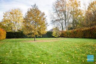 TE KOOP in Wichelen - prachtige art deco villa dd 1932 op een perceel van meer dan 37 areDeze villa kreeg een totaalrenovatie in 2015 met behoud van...