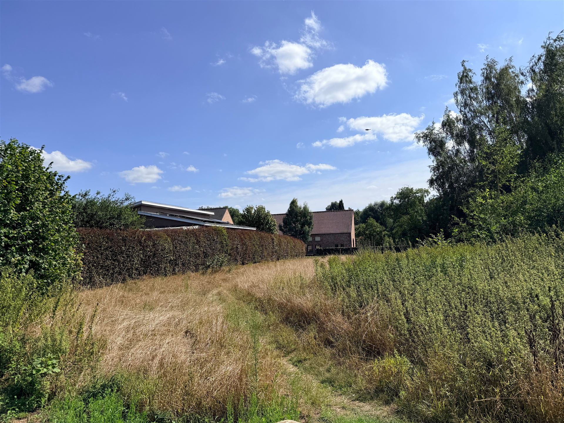 Gunstig gelegen bouwgrond van 800 m² op een centrale ligging! - foto 5