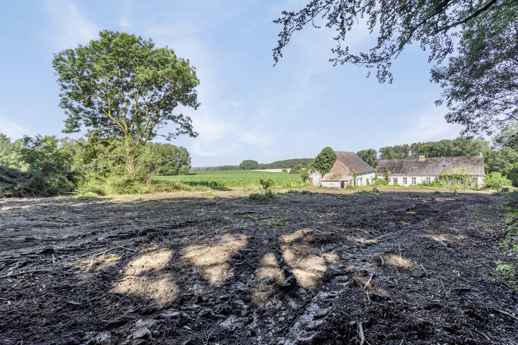 Te renoveren boshuis in Zandbergen - foto 2