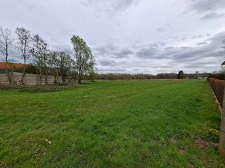 In een rustige straat in Wezemaal bevindt zich dit mooi perceel bouwgrond van 26 are, ideaal voor het realiseren van een open bebouwing. De...