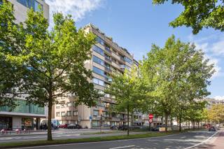 <p>Ideaal voor vrije beroepen : medische beroepen, advocaten, architecten,.....! Zeer mooie gelijkvloerse kantoor- praktijkruimte. 252m² nuttige oppervlakte: heel functioneel in te delen: alle ruimtes krijgen rechtstreeks daglicht dankzij de hoekligging. Mogelijkheid tot aankoop van 4 autostaanplaatsen. Vrij bij akte, niet verhuurd. Centrale en zeer goed bereikbare locatie in de stad, pal tegenover het stadspark, nabij parking nationale bank.</p>