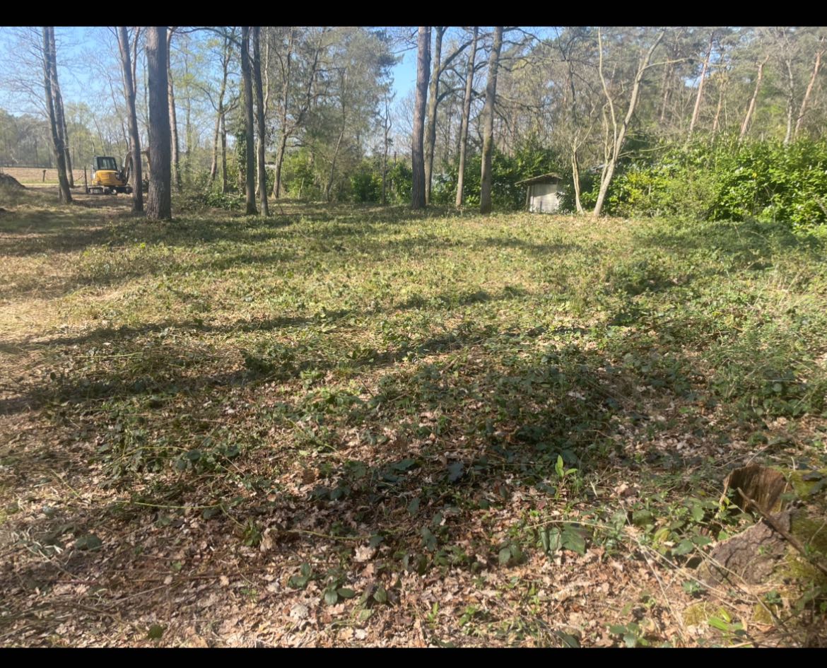Huis te koop in Pulderbos met 1 slaapkamer - foto 4