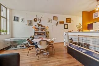 Cet appartement étonnamment spacieux, aux allures de studio, est situé dans la rue Oswald Ponette à Renaix. Il met l'accent sur la lumière,...