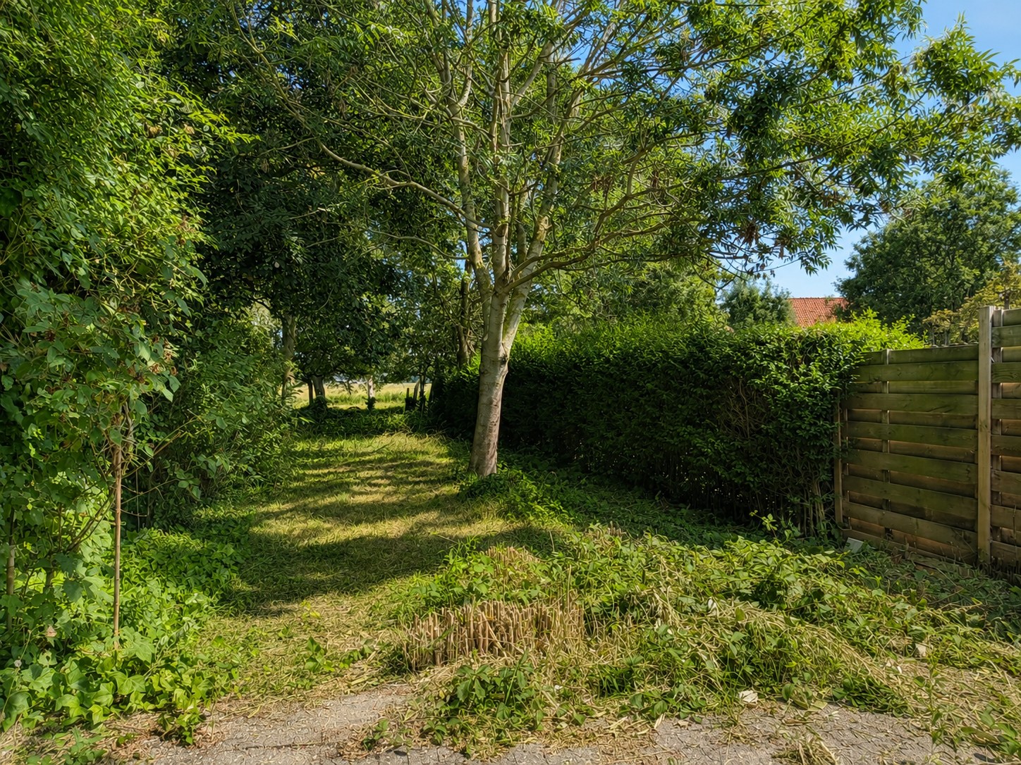 Woning met garage en tuin te Vlissegem (De Haan) - foto 3