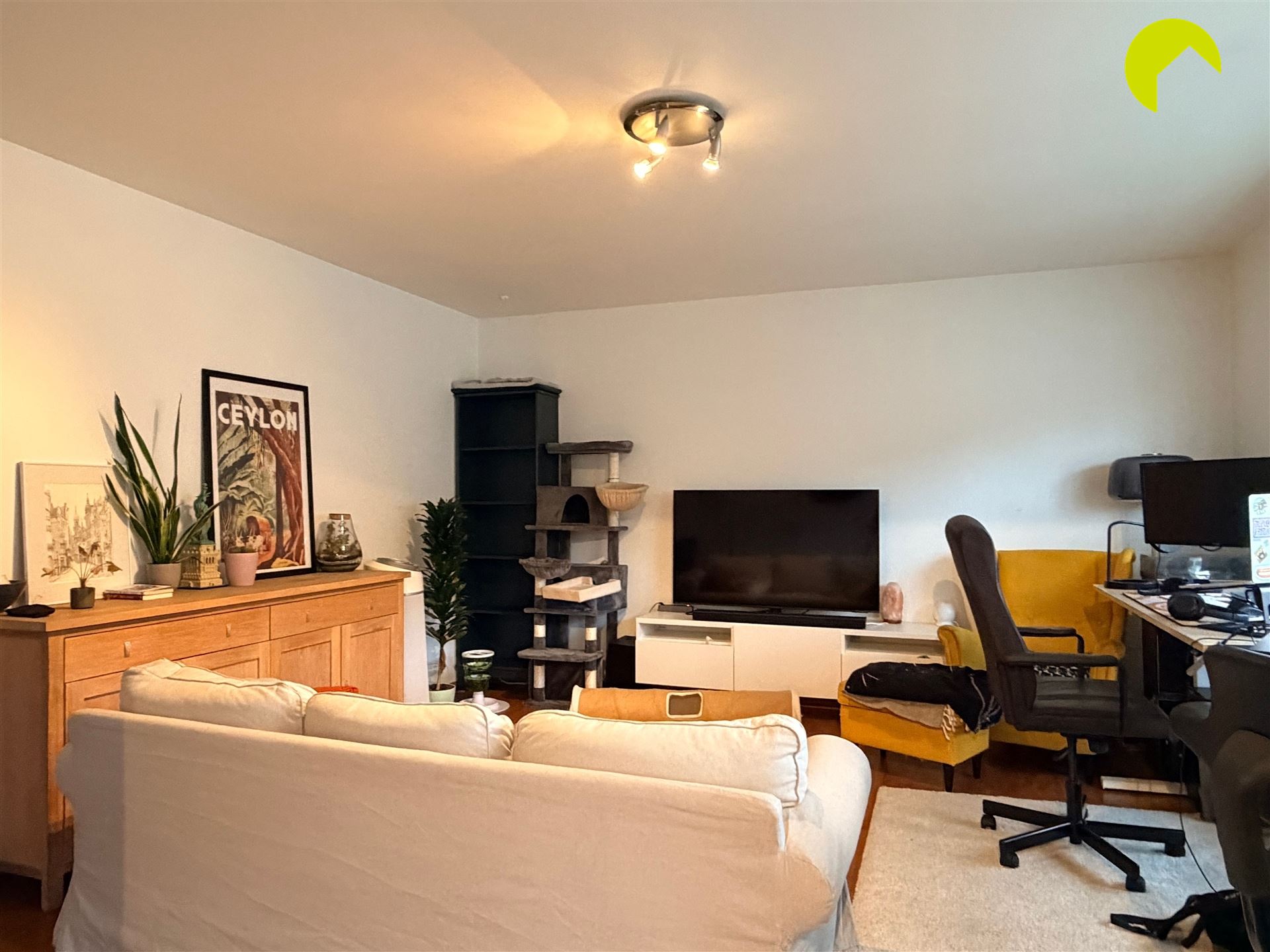 Appartement - photo 2