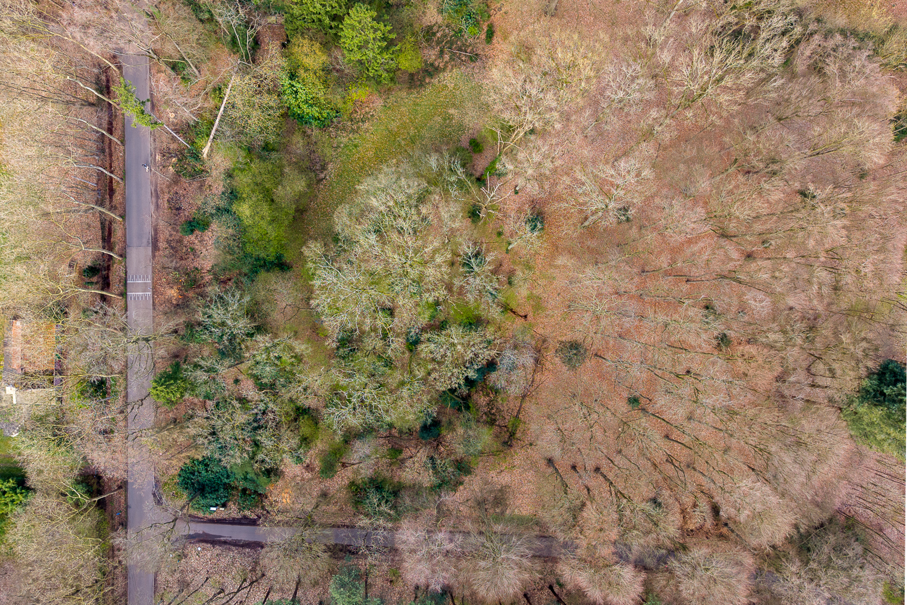 Perceel grond van ca. 10.500 m² te Brasschaat - foto 5