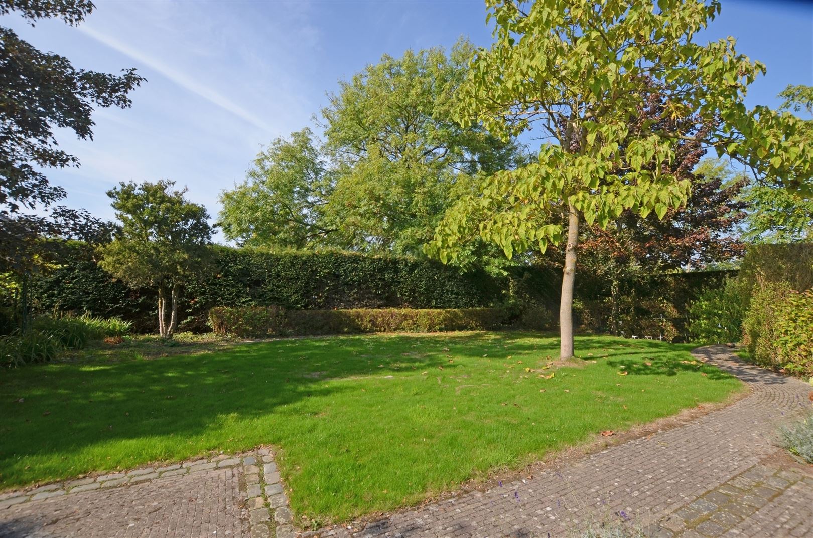 Prachtige te renoveren villa centrum Stevoort - foto 5